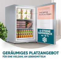 Mini-Gefrierschrank 42 L