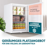 Mini-Gefrierschrank 42 L
