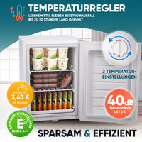 Mini-Gefrierschrank 42 L