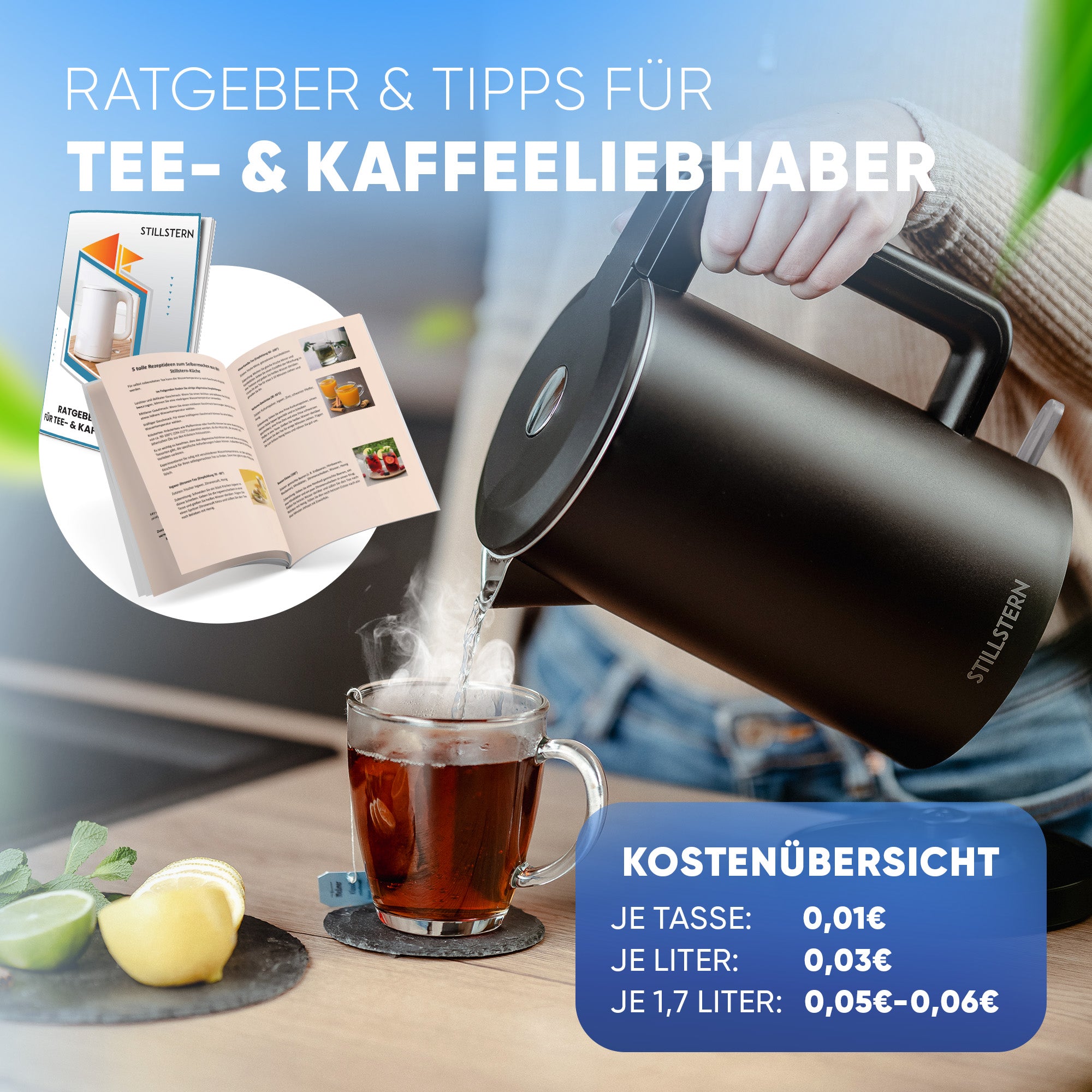 Wasserkocher mit Edelstahl Filter & Trockenlaufschutz 1,7L