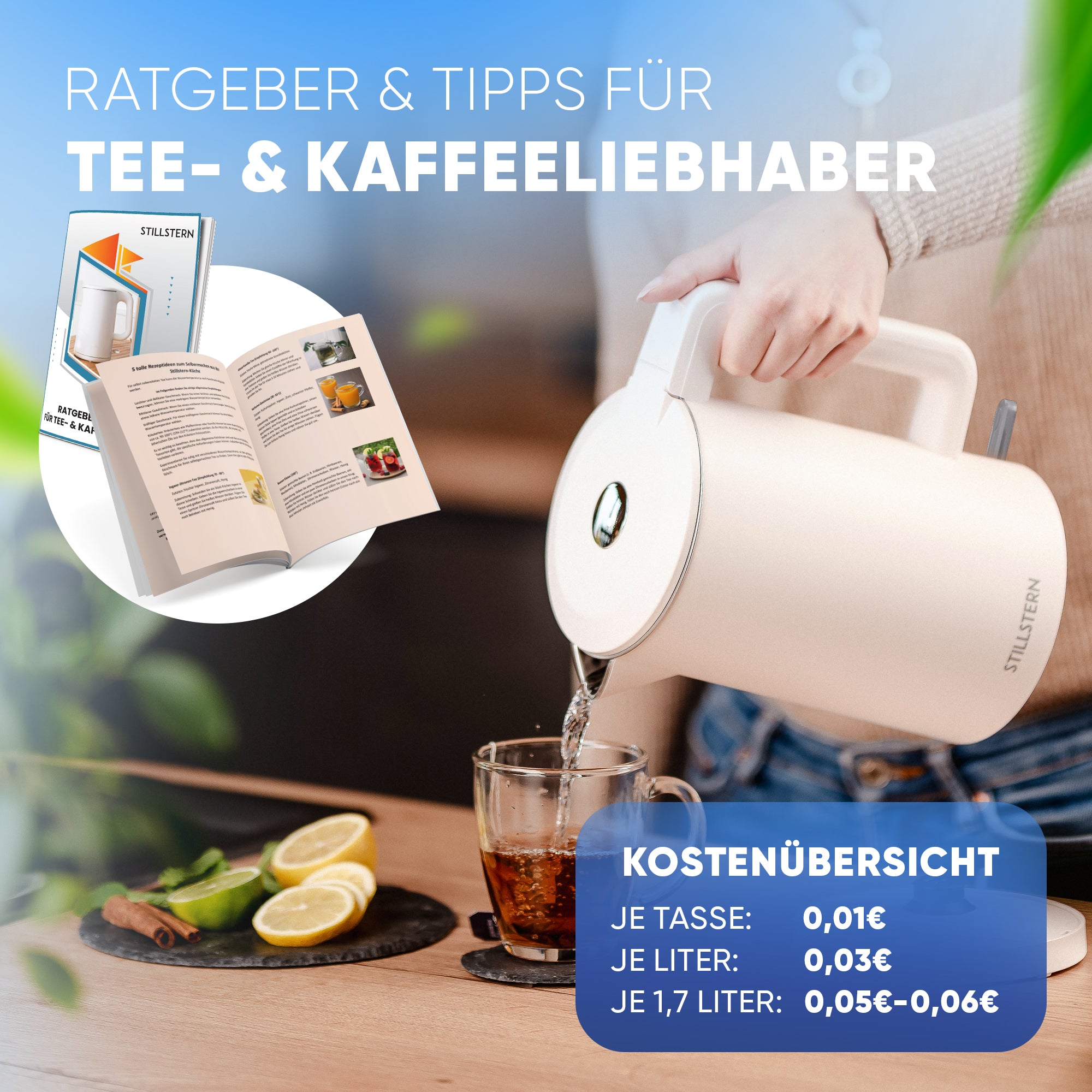 Wasserkocher mit Edelstahl Filter & Trockenlaufschutz 1,7L