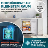 Mini Gefrierschrank klein & leise 31L silber