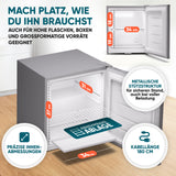 Mini Gefrierschrank klein & leise 31L silber
