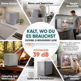 Mini Gefrierschrank klein & leise 31L silber