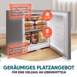 Mini Gefrierschrank klein & leise 31L silber