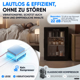 Mini-Kühlschrank 40 L – Lautlos - Standard- oder Glastür