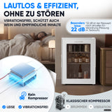 Mini-Kühlschrank 40 L – Lautlos - Standard- oder Glastür