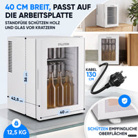 Mini-Kühlschrank 40 L – Lautlos - Standard- oder Glastür